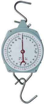 CAM25H HANGING SCALE DIAL SPRING 25KG CAPACITY