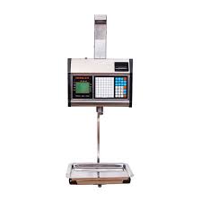 Hanging Type Barcode Label Printing Weighing Scale, T30-EBR-Hanging, 15 Kg, Silver